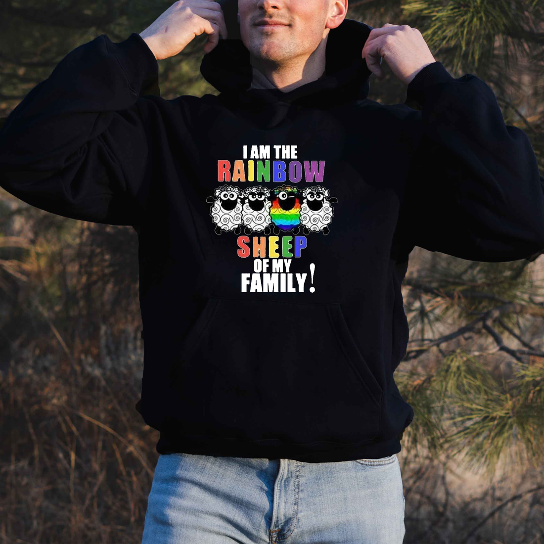 i am the rainbow sheep of my family hoodie