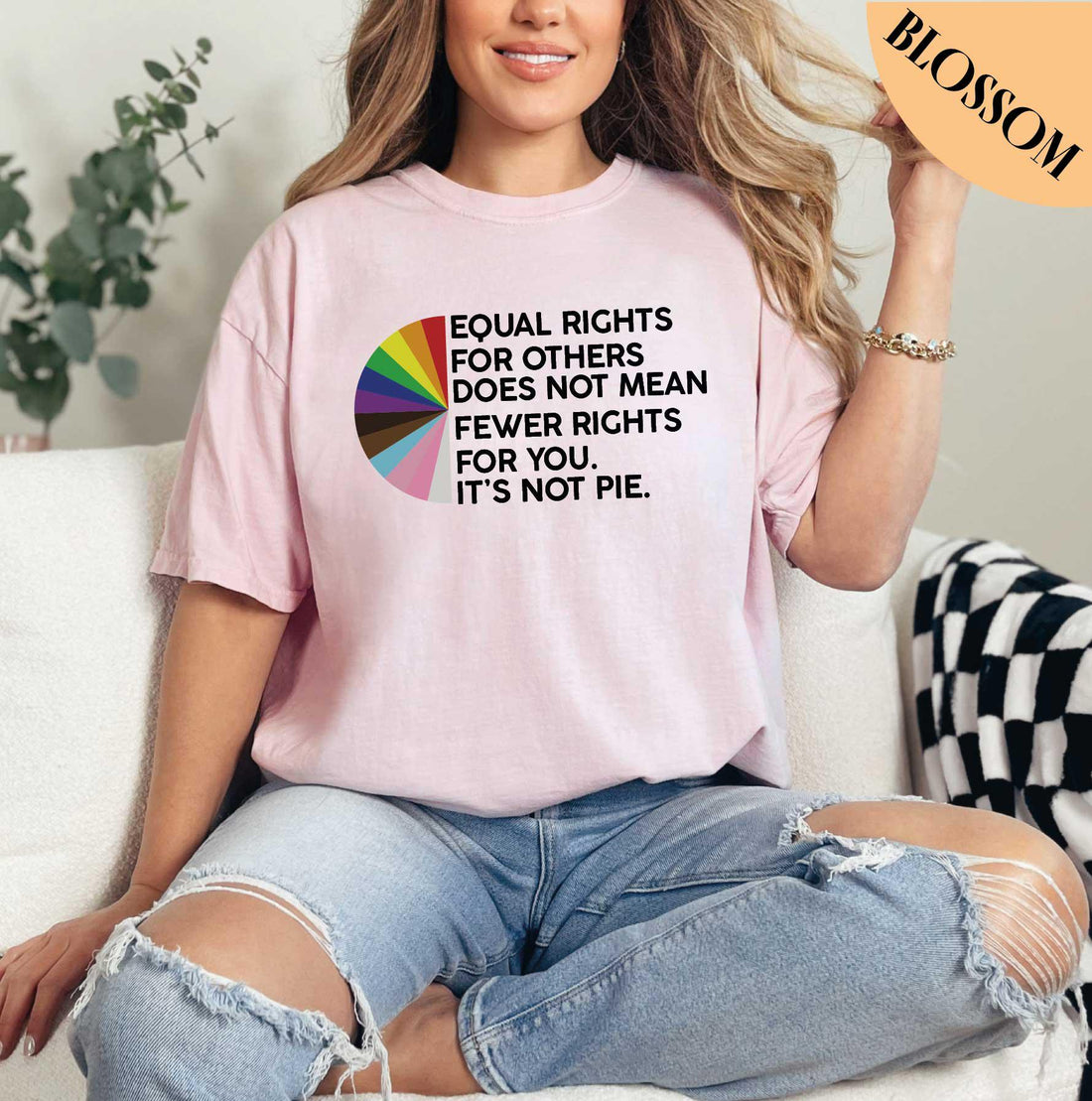 Equal Rights for Others Does Not Mean Fewer Rights for You Shirt, LGBT Shirt, Transgender Rainbow, Pride Shirt, Comfort Colors Shirt