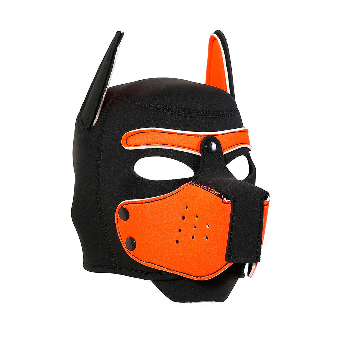 Leather Dog Mask