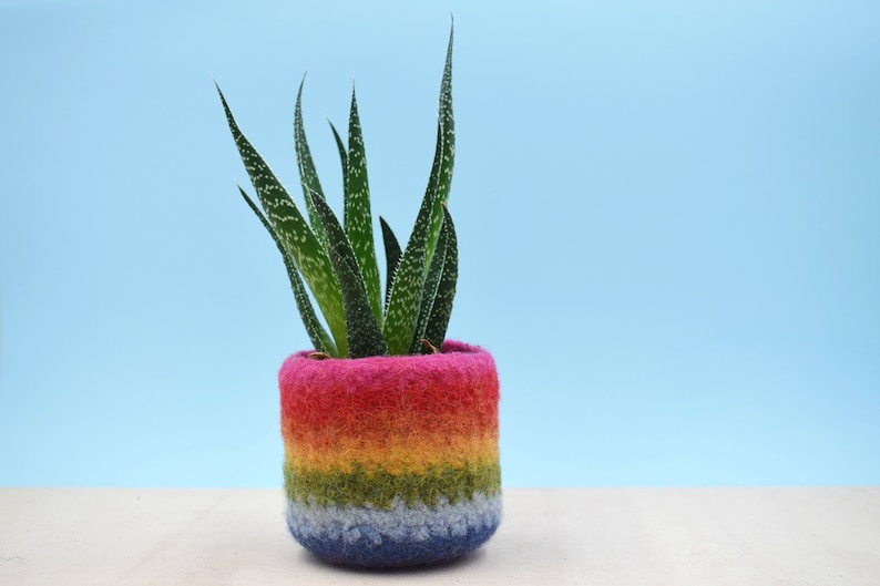 Pride flag | Colorful vase, housewarming gift, succulent planter, gay pride gift, LGBT gift, mother day coworker gift, Rainbow gift